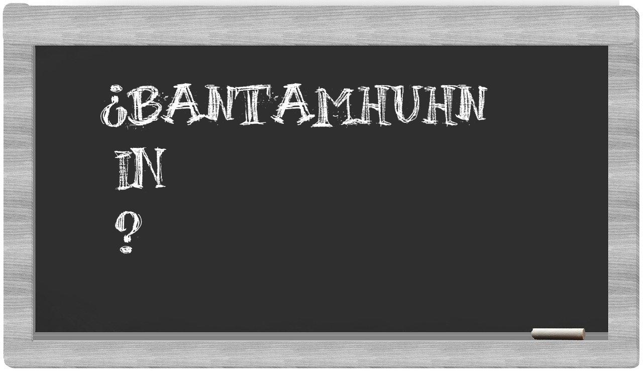 ¿Bantamhuhn en sílabas?