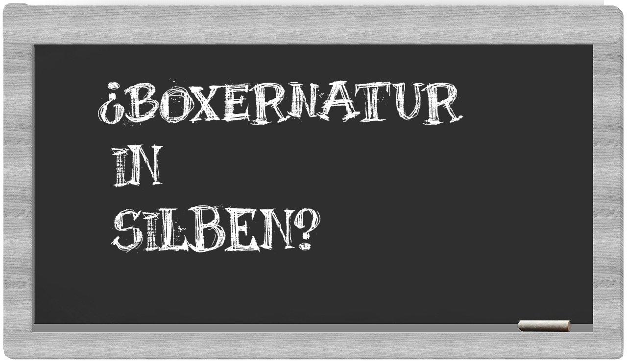 Boxernatur in syllables