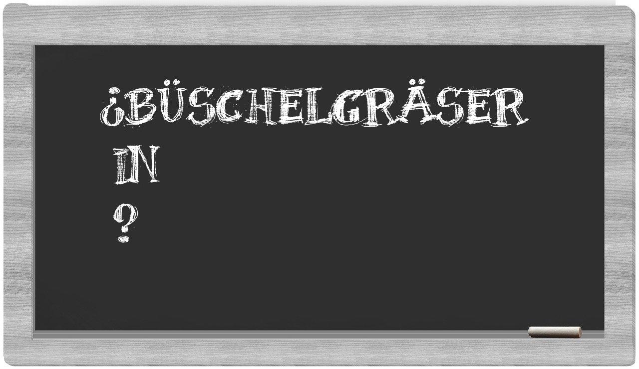 ¿Büschelgräser en sílabas?