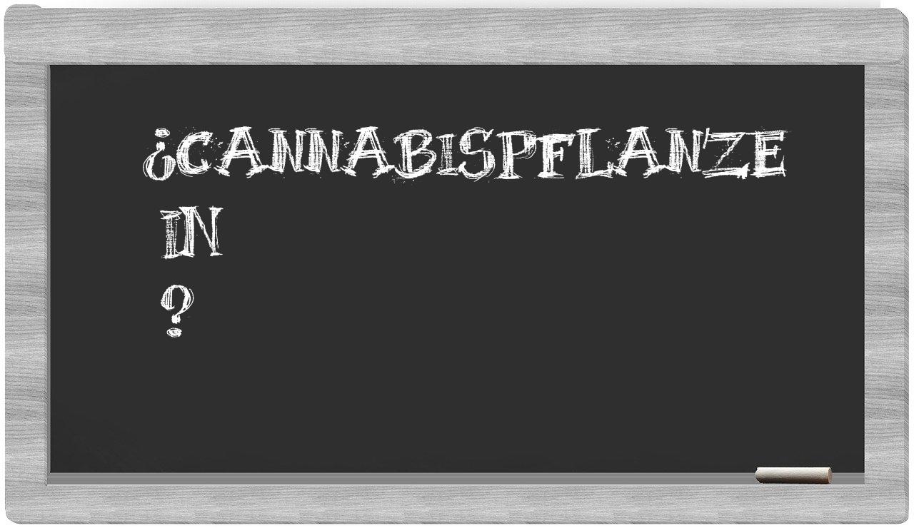 ¿Cannabispflanze en sílabas?