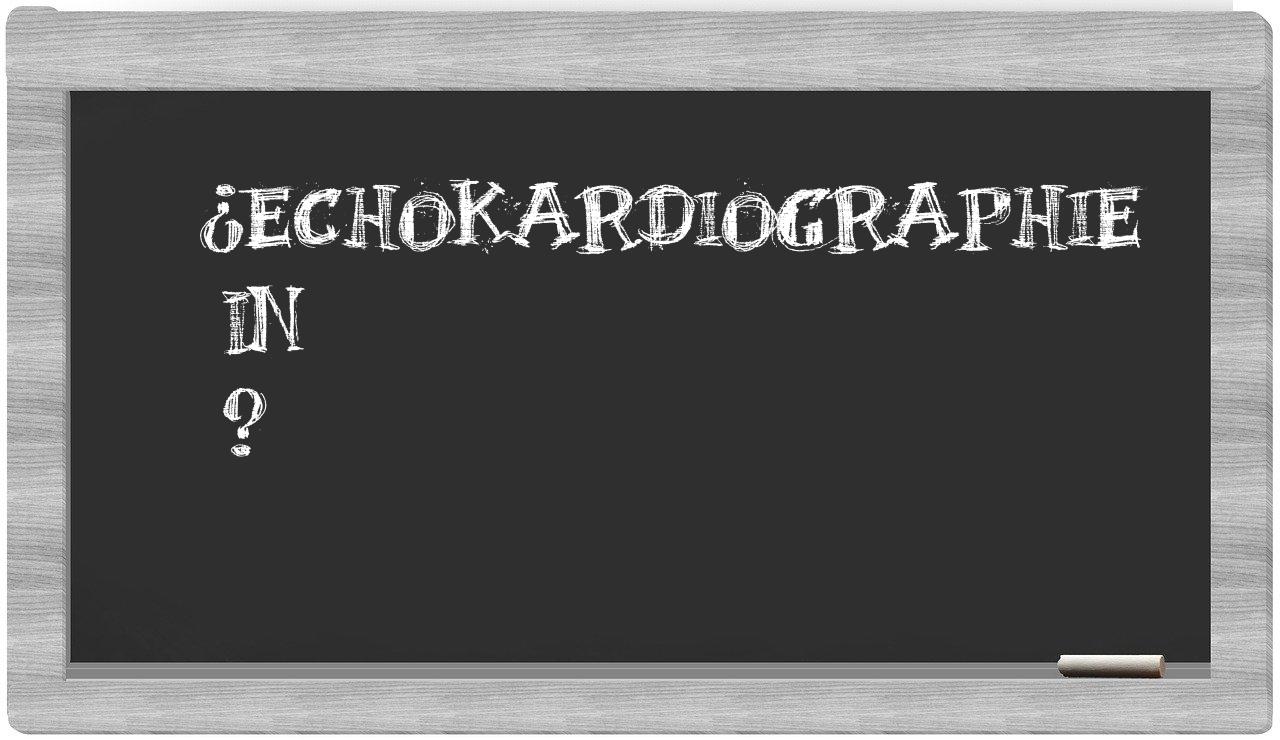 ¿Echokardiographie en sílabas?