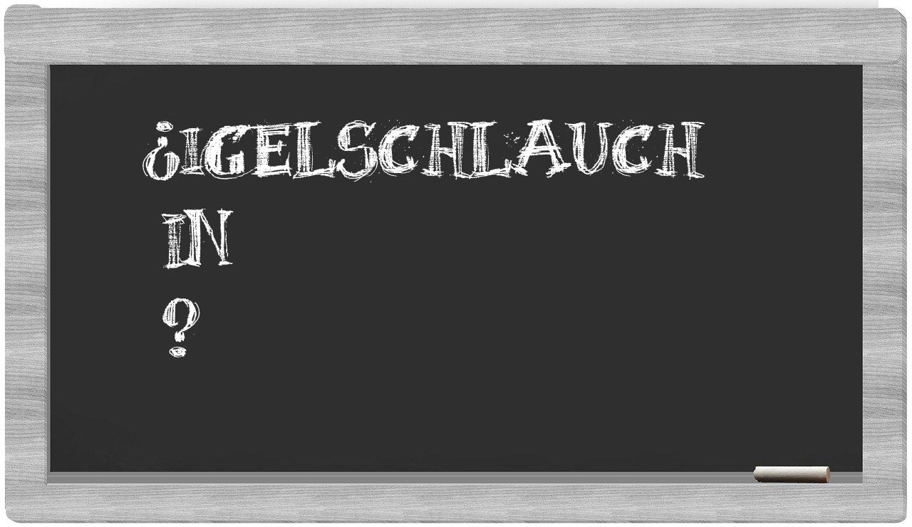 ¿Igelschlauch en sílabas?