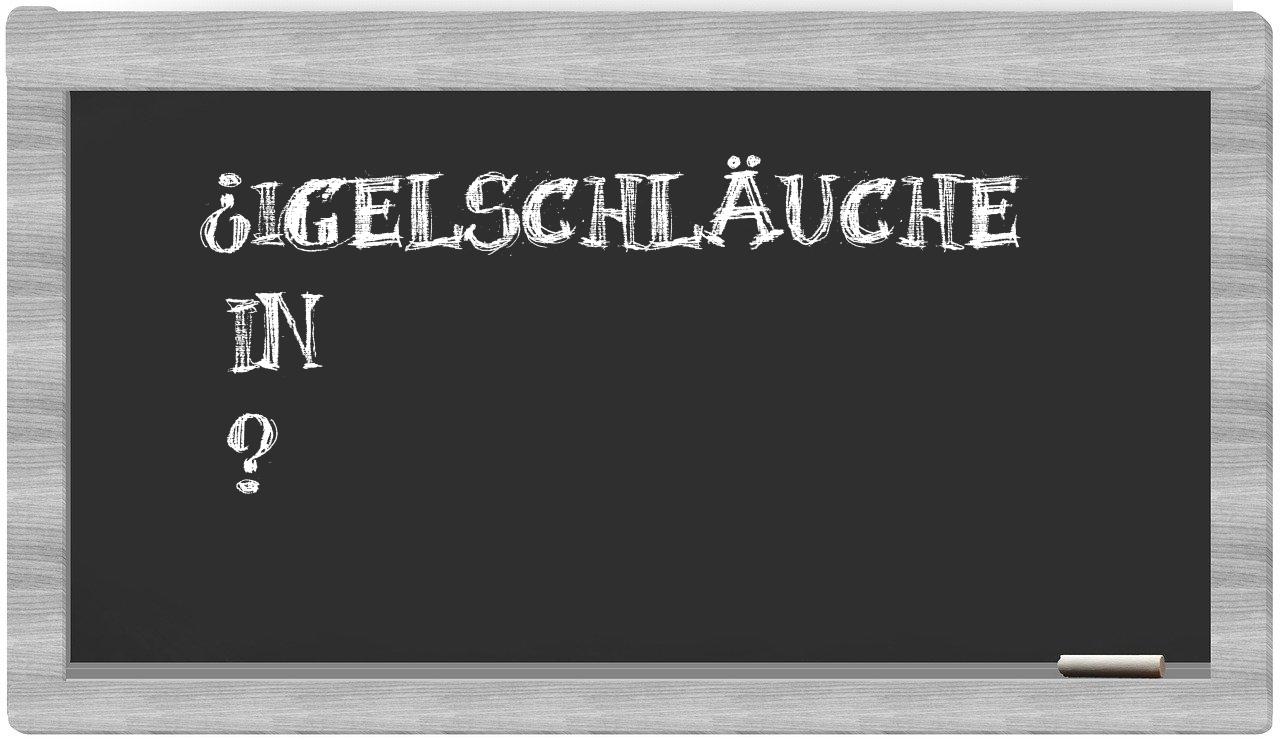 ¿Igelschläuche en sílabas?