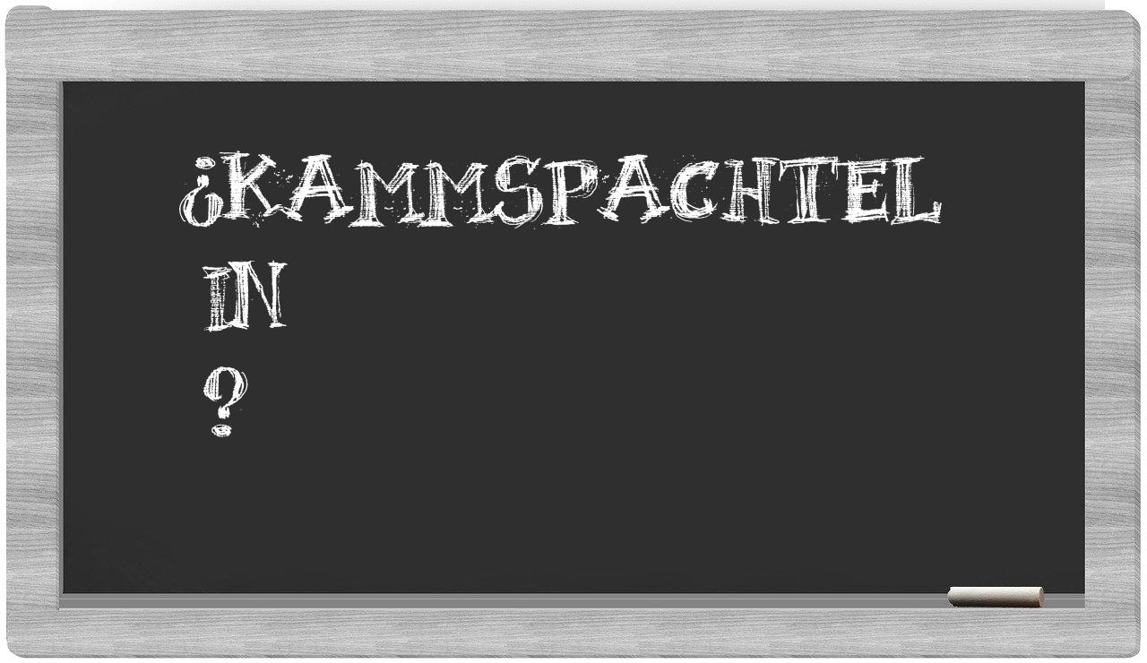 ¿Kammspachtel en sílabas?
