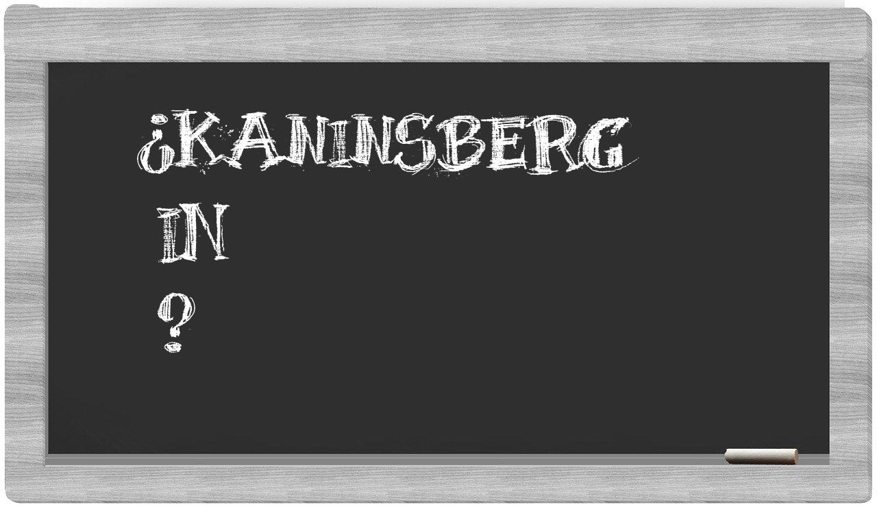 ¿Kaninsberg en sílabas?