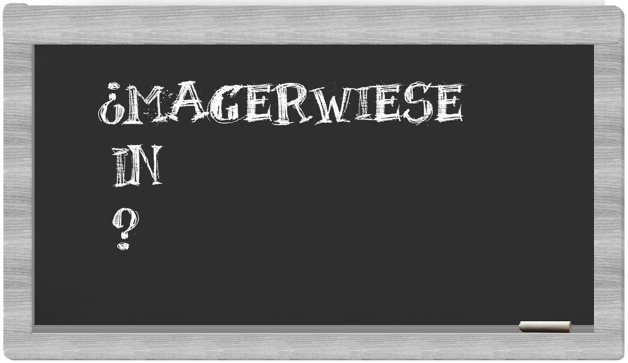 ¿Magerwiese en sílabas?