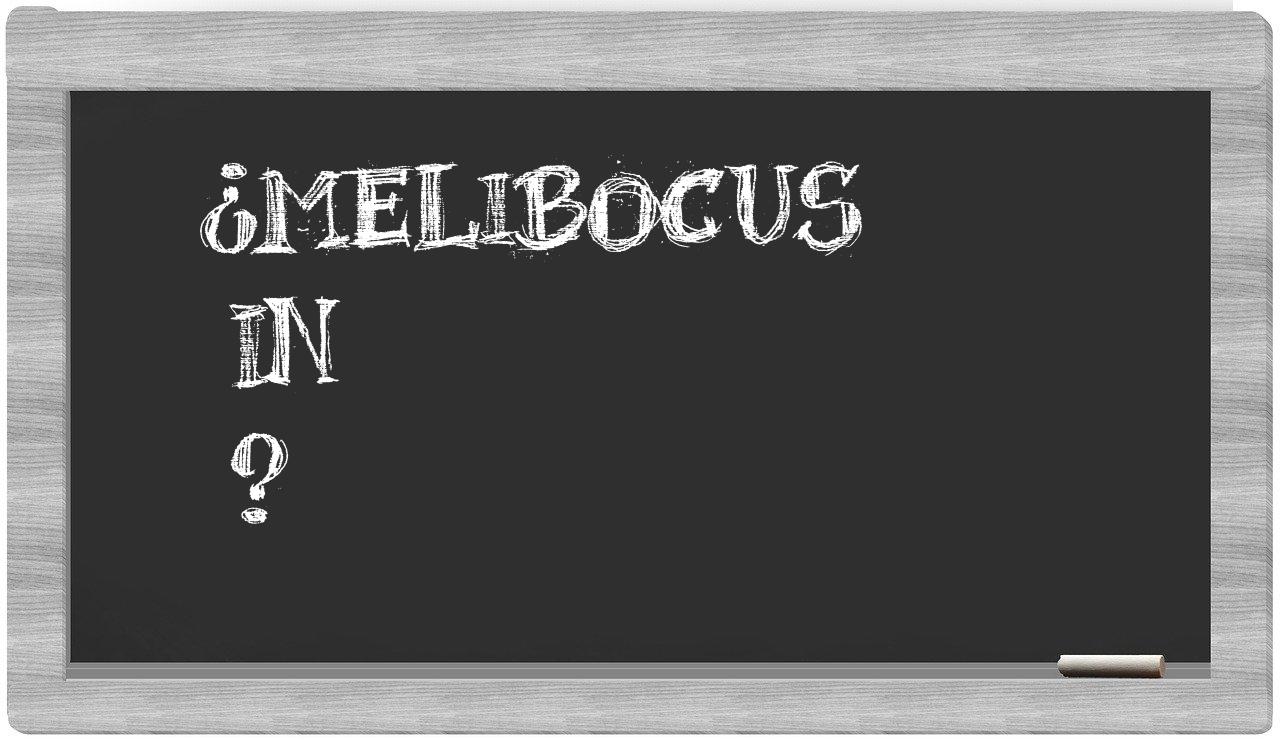 ¿Melibocus en sílabas?