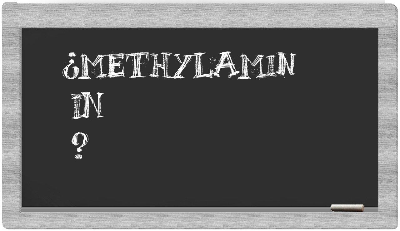 ¿Methylamin en sílabas?