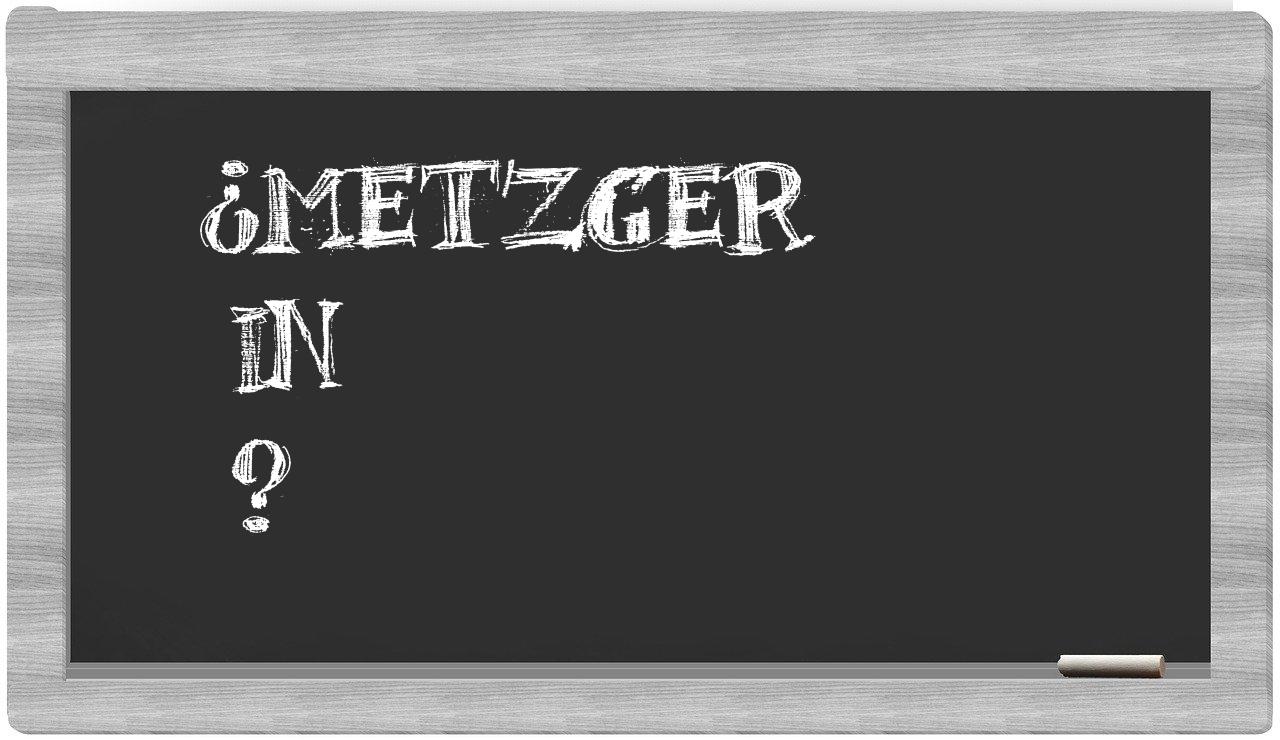 ¿Metzger en sílabas?