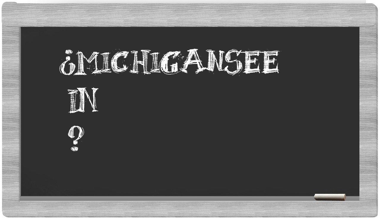 ¿Michigansee en sílabas?