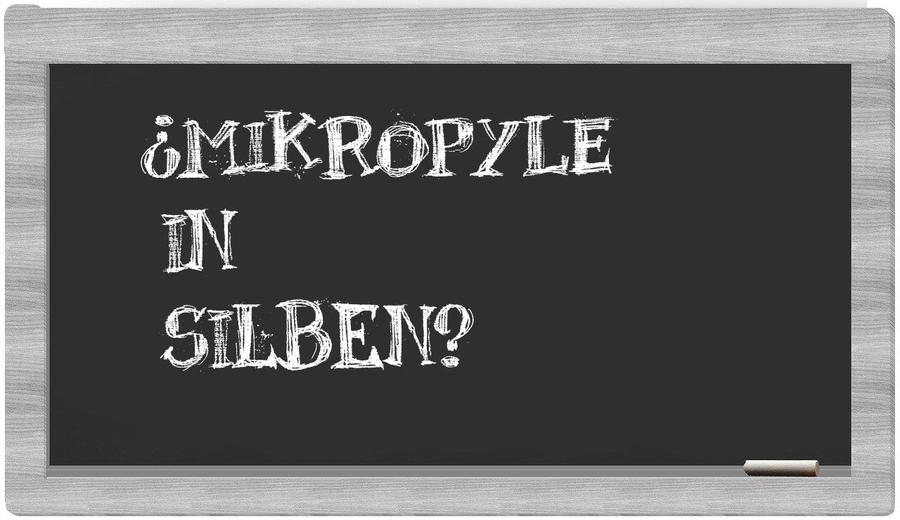 Mikropyle in syllables