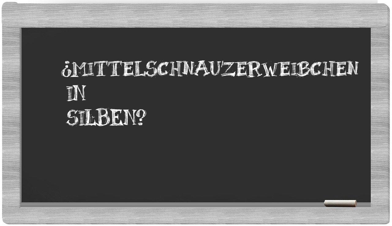 Mittelschnauzerweibchen in syllables